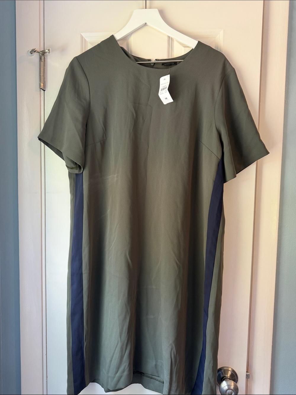 Ann Taylor Olive Green Sleeveless Crewneck Dress
